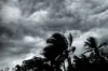 Cyclone Nisarg to impact Indore, Jabalpur, Ujjain, Hoshangabad divisions and 16 other districts- India TV Hindi