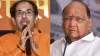 Shiv Sena, Shiv Sena Saamana, Saamana, Saamana Editorial, Saamana Editorial Today- India TV Hindi