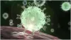 Scientists decode how coronavirus is mutating, say findings may aid vaccine development- India TV Hindi