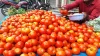  Tomato prices skyrocket to Rs 80 per kg in Delhi-NCR- India TV Hindi