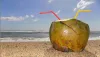  world Coconut Day 2020: जानें कब और कितना नारियल पानी पीना सेहत के लिए है बेस्ट, साथ ही जानिए इसके - India TV Hindi