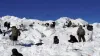 Not in battle, 22 army men died in 3 years on high altitude duty - India TV Hindi