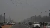 Delhi Air Quality, Delhi-NCR Air pollution, Air pollution, Delhi Air Pollution, Delhi AQI, AQI- India TV Hindi