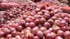 Government allows limited export of Onion with selected...- India TV Paisa