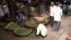 Kerala, Vegetables, Floor Price 16 Vegetables, Floor Price Vegetables Kerala, Kerala Vegetables- India TV Paisa