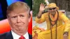 Virender Sehwag said,'Will miss Chacha ki Comedy' on Trump's defeat in US presidential election - India TV Hindi