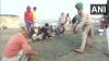 kisan andolan farmer growing crops at Nirankari Samagam ground in Burari Kisan Andolan: किसानों ने प- India TV Hindi