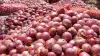 government procure 1.5 lakh ton onion from farmers- India TV Paisa