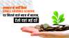small savings scheme rates kept unchanged, Check latest rates here- India TV Paisa