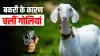 when goat became reason of conflict in agra village बकरी को लेकर हुआ भयंकर विवाद, बेहद मामूली थी वजह- India TV Hindi