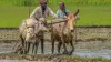 सरकार ने लिया फिर बड़ा फैसला, किसानों को मिलेगा सीधा लाभ- India TV Hindi
