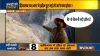 ऋषिगंगा के मुहाने पर बनी कृत्रिम झील, मचा सकती है बड़ी तबाही, प्रशासन अलर्ट- India TV Hindi