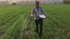  IFFCO not to hike prices of non-urea fertilisers in March- India TV Paisa