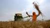 make payment to farmers , Uttarakhand government given Rs 198.64 cr to sugar mills - India TV Paisa