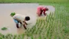 good news for farmers loan waived off in Jharkhand किसानों के लिए खुशखबरी, इस प्रदेश में माफ किए गए - India TV Hindi