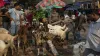 bakrid celebrations uttar pradesh cow camel sacrifice prohibited restrictions on gathering बकरीद पर - India TV Hindi