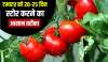 easy kitchen tricks How to keep tomatoes safe in fridge for 20-25 days tamatar ko store karne ka aas- India TV Hindi