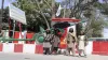 Taliban statement on India Afghanistan Muhammed Suhail Shaheen Indian Dam Indian Army Pakistan China- India TV Hindi