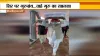 Guru Granth Sahib reached delhi from kabul hardeep singh puri receives at airport श्री गुरुग्रंथ साह- India TV Hindi