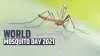 world mosquito day 2021 - India TV Hindi