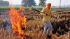 Stubble Burning, Stubble Burning Farmers, Stubble Burning Yogi Government- India TV Hindi