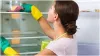 fridge cleaning tips - India TV Hindi
