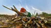 Good news: यूपी में गन्ना किसानों को जल्द मिलेगी खुशखबरी, मंत्री सुरेश राणा का ने दी ये जानकारी- India TV Hindi