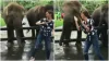 elephant doing dance- India TV Hindi