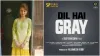 उर्वशी रौतेला, विनीत कुमार सिंह की फिल्म 'दिल है ग्रे' का पोस्टर हुआ रिलीज़- India TV Hindi