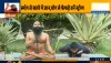 How To Protect Lungs From Pollution with yoga poses and ayurveda from swami ramdev- India TV Hindi