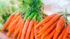 सेहत के लिए बेहद फायदेमंद है गाजर की पत्तियां- India TV Hindi