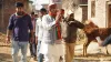 Unchahar Manoj Pandey, Anjali Maurya Unchahar, Election News- India TV Hindi
