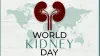 World Kidney Day 2022- India TV Hindi