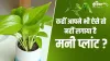 Vastu Tips - India TV Hindi