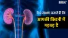 Kidney Stone- India TV Hindi