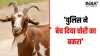 Rajasthan News, Police Selling Stolen Goat, MLA Police Selling Stolen Goat- India TV Hindi