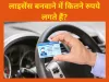 driving licence- India TV Paisa
