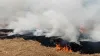 पंजाब के बठिंडा में किसान जला रहे पराली- India TV Hindi