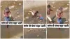 Azgar Ka Video Sanp ka video python attack on man google trends heavy python attack old man omg vira- India TV Hindi
