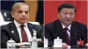 China And Pakistan Friendship- India TV Hindi