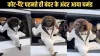 In this video, the monkey is seen wearing coat-pants.- India TV Hindi
