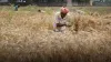Big news brought to farmers now this thing will be effective for farmer crops- India TV Hindi