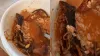 एक रेस्टोरेंट ने अपने ग्राहकों को खाने में मरा हुआ चूहा परोस दिया।- India TV Hindi