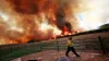 टेक्सास के डेयरी फार्म में विस्फोट से लगी भयंकर आग, 18 हजार गायों की मौत, मशीन की खराबी से हुआ धमाका- India TV Hindi