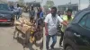 गधों के सहारे गाड़ी को शोरूम ले जाते लोग- India TV Paisa