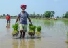 पीएम-किसान- India TV Paisa