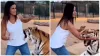 Ladki Aur Bagh Ka Video tiger grab girl in cage scary viral video on google trends- India TV Hindi