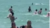 फ्लोरिडा के समुद्र तट पर नहाते लोगों के बीच आई शार्क मछली- India TV Hindi
