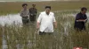 अचानक पानी से भरे खेत में पहुंच गए तानाशाह किम जोंग, जानिए क्या है खास वजह?- India TV Hindi
