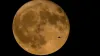 चंद्रमा की प्रतीकात्मक फोटो- India TV Hindi